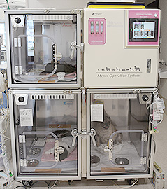 ICU酸素室